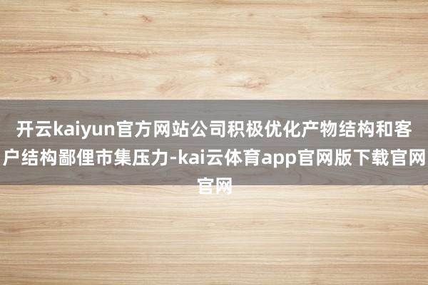 开云kaiyun官方网站公司积极优化产物结构和客户结构鄙俚市集压力-kai云体育app官网版下载官网