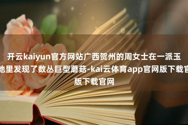 开云kaiyun官方网站广西贺州的周女士在一派玉米地里发现了数丛巨型蘑菇-kai云体育app官网版下载官网