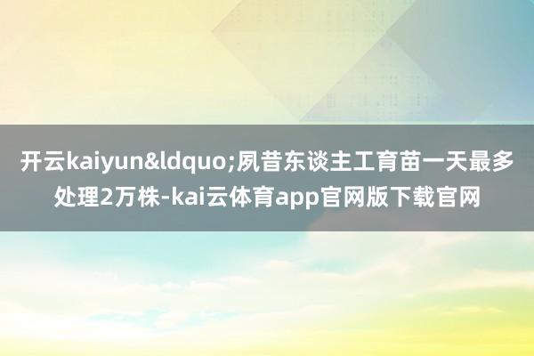 开云kaiyun“夙昔东谈主工育苗一天最多处理2万株-kai云体育app官网版下载官网
