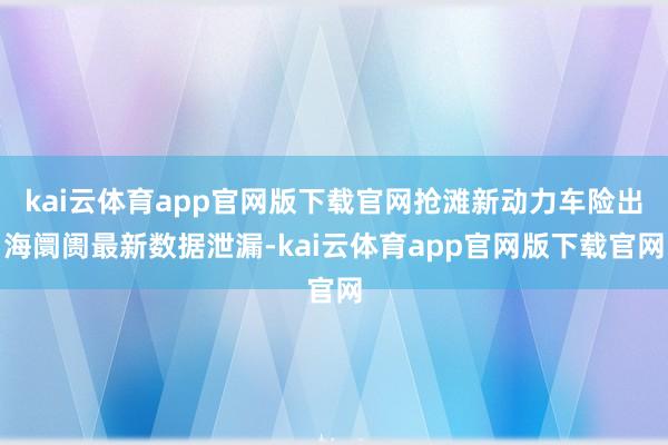 kai云体育app官网版下载官网　　抢滩新动力车险出海阛阓　　最新数据泄漏-kai云体育app官网版下载官网