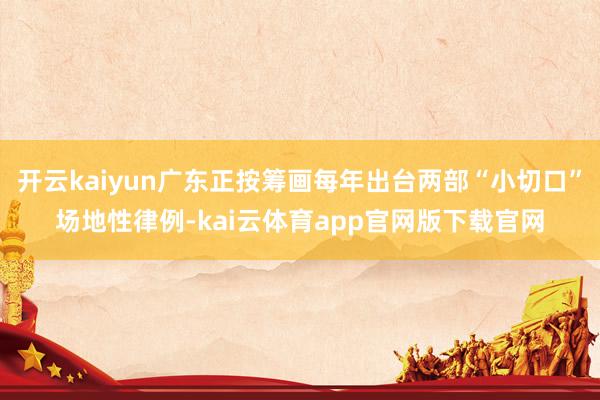 开云kaiyun广东正按筹画每年出台两部“小切口”场地性律例-kai云体育app官网版下载官网